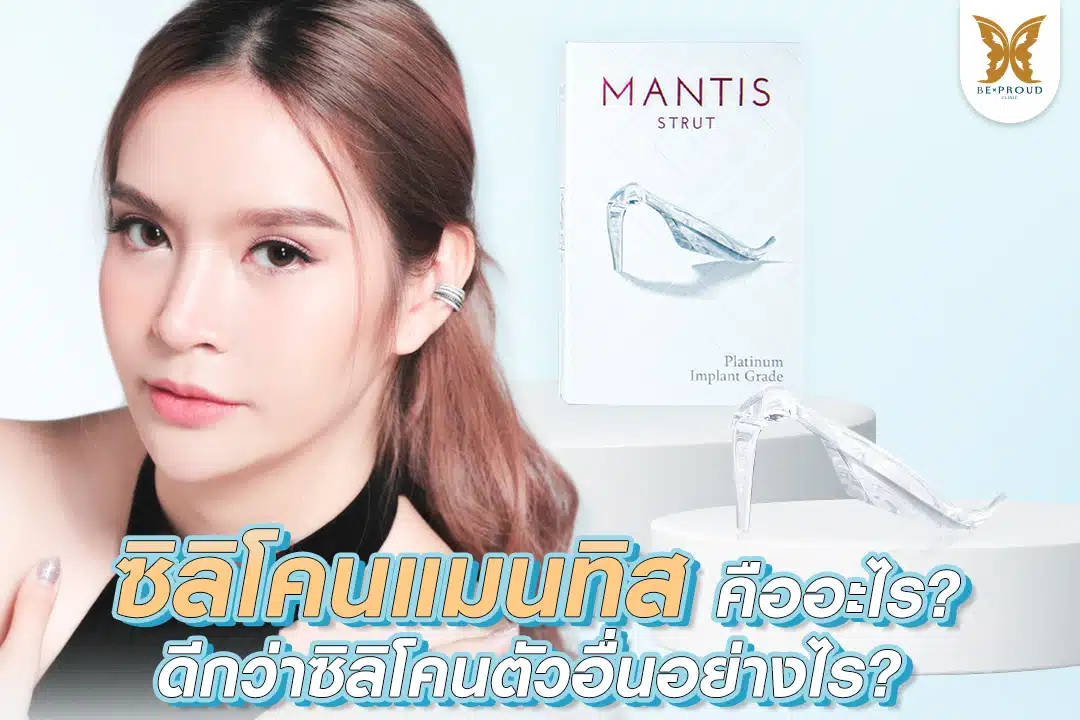 ซิลิโคนแมนทิส